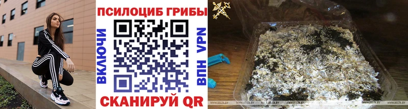 Галлюциногенные грибы ЛСД Усть-Катав